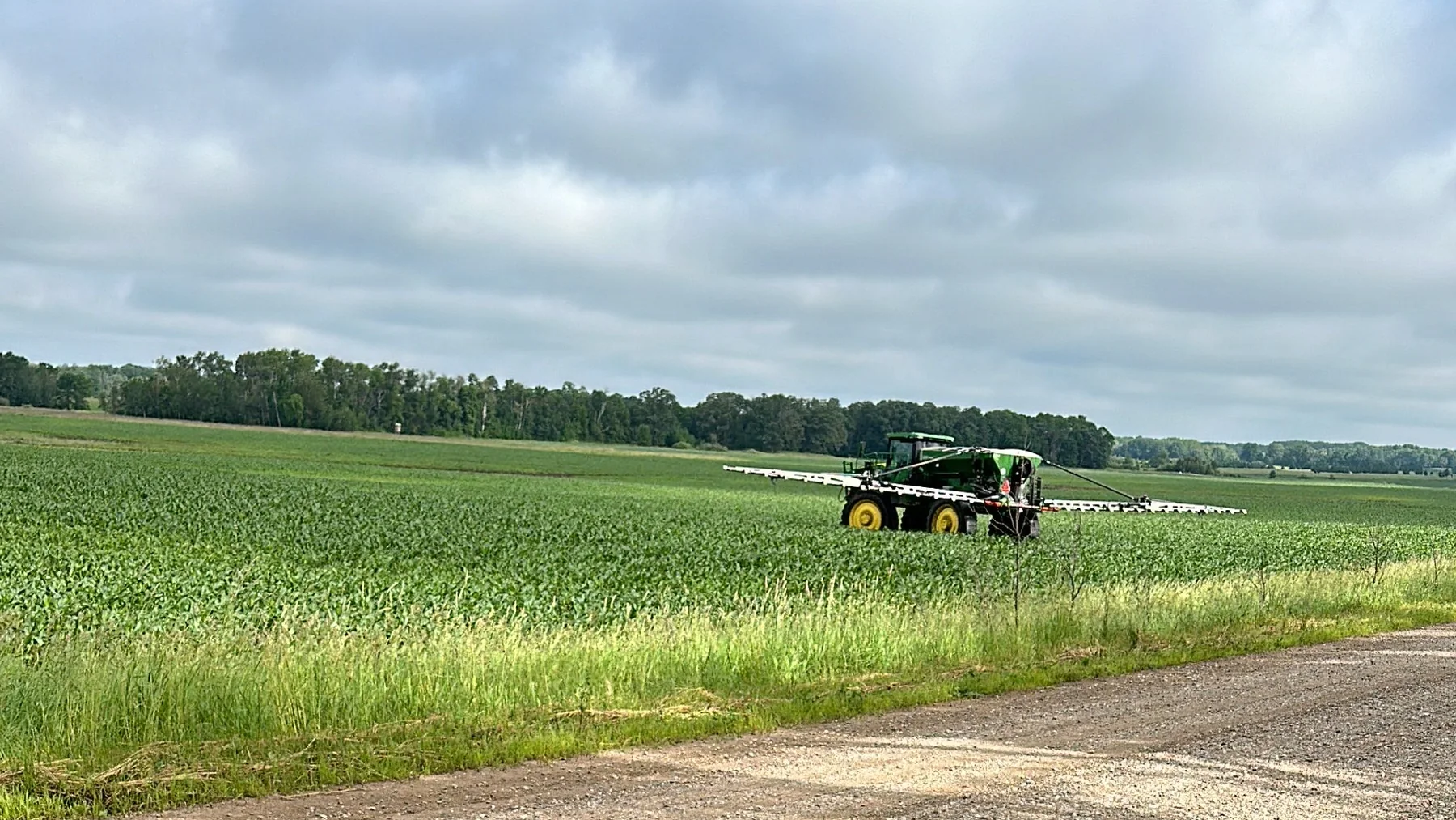 Two-bin fertilizer spreader applying variable-rate topdress in a green corn field under a cloudy July sky.