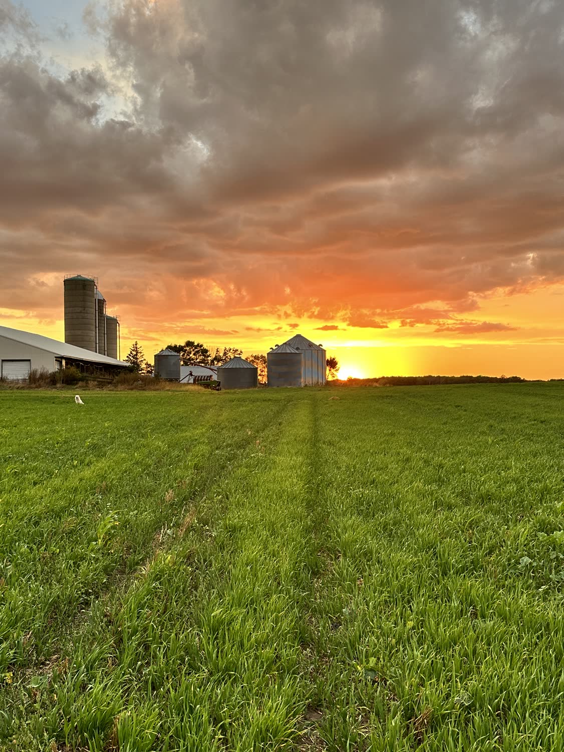 Sunset over the farmstead