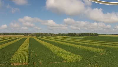 Aerial view of green cover-cropped fields under summer clouds